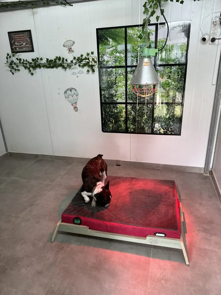 הפנסיון — תמונה 1